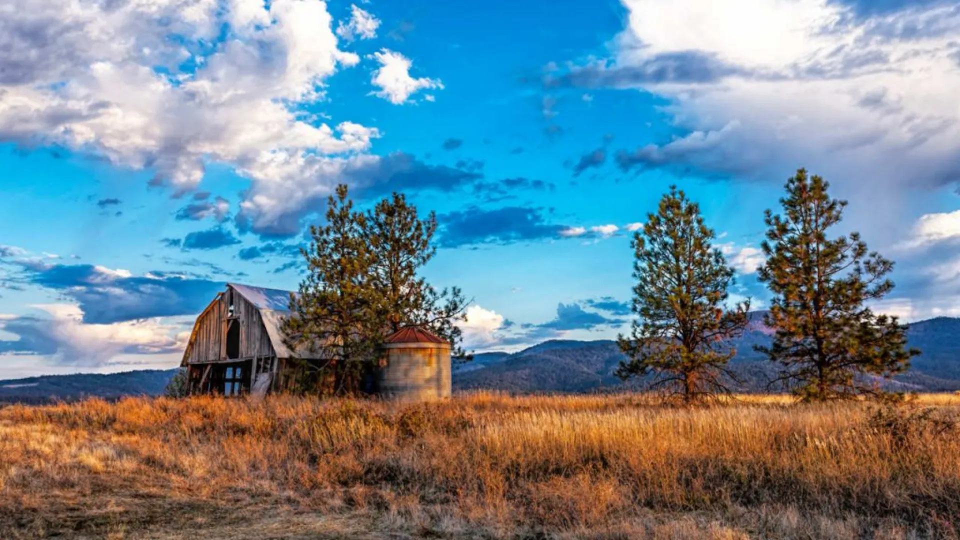 Car detailing in Rathdrum