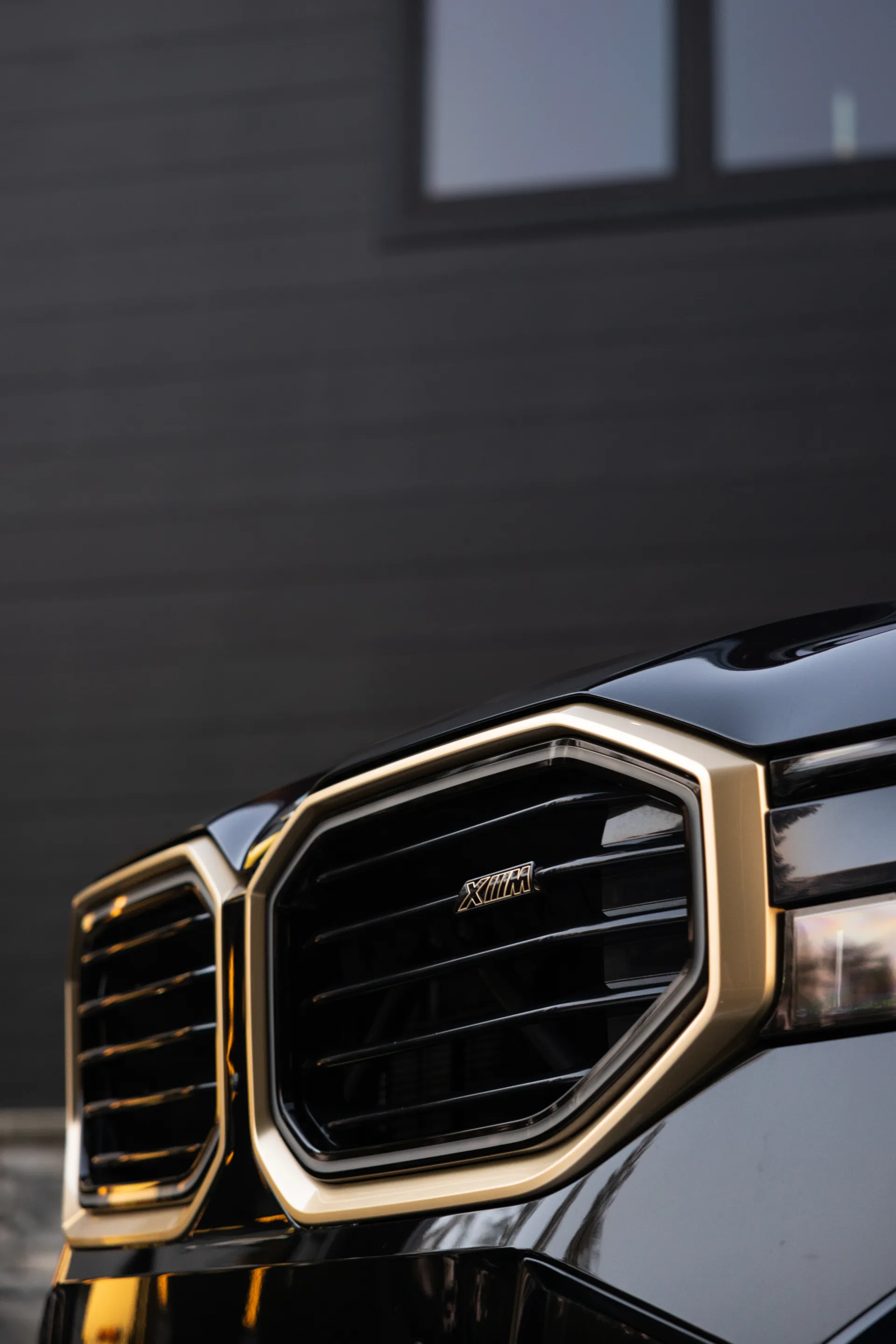 BMW XM - Photo 1