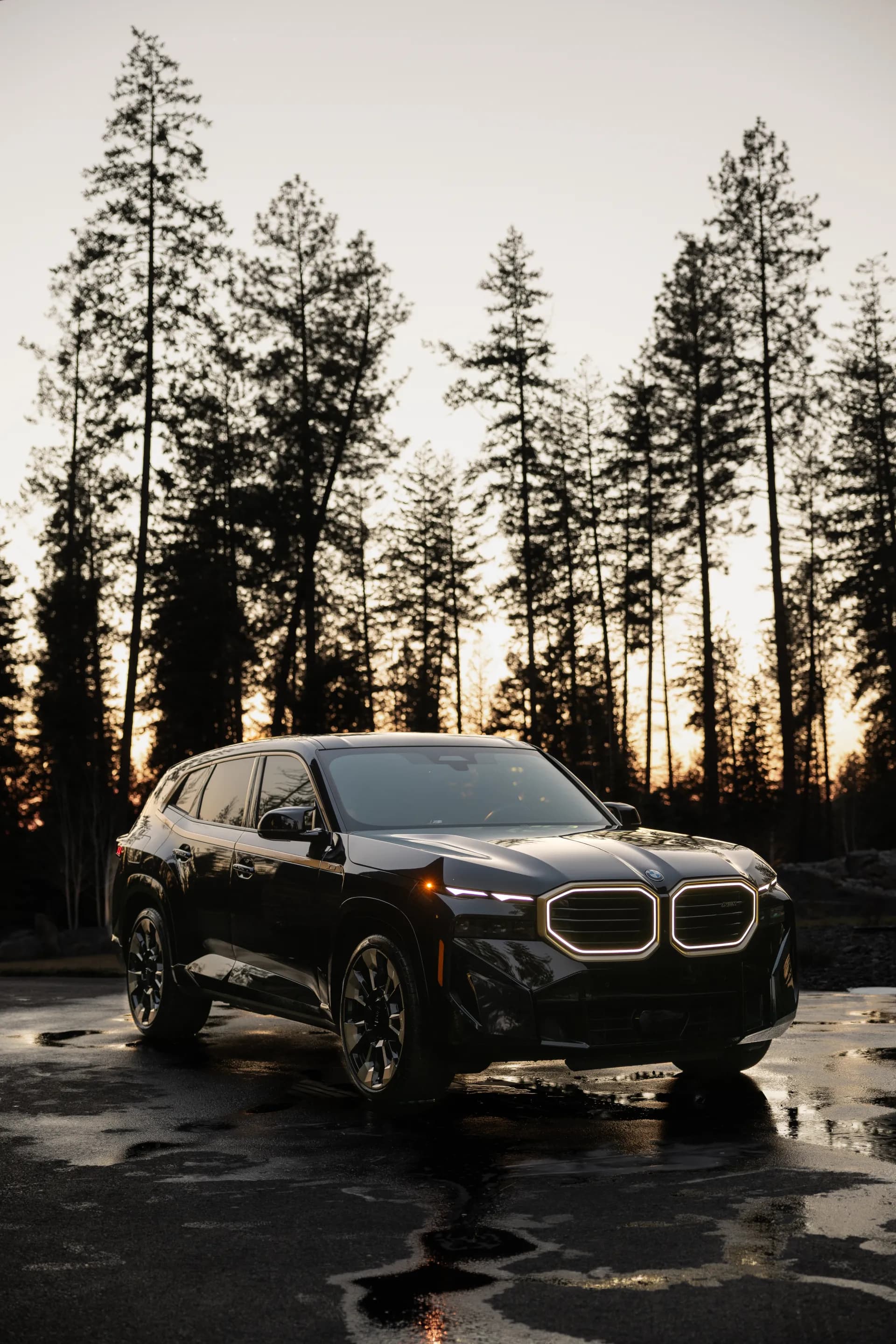 BMW XM