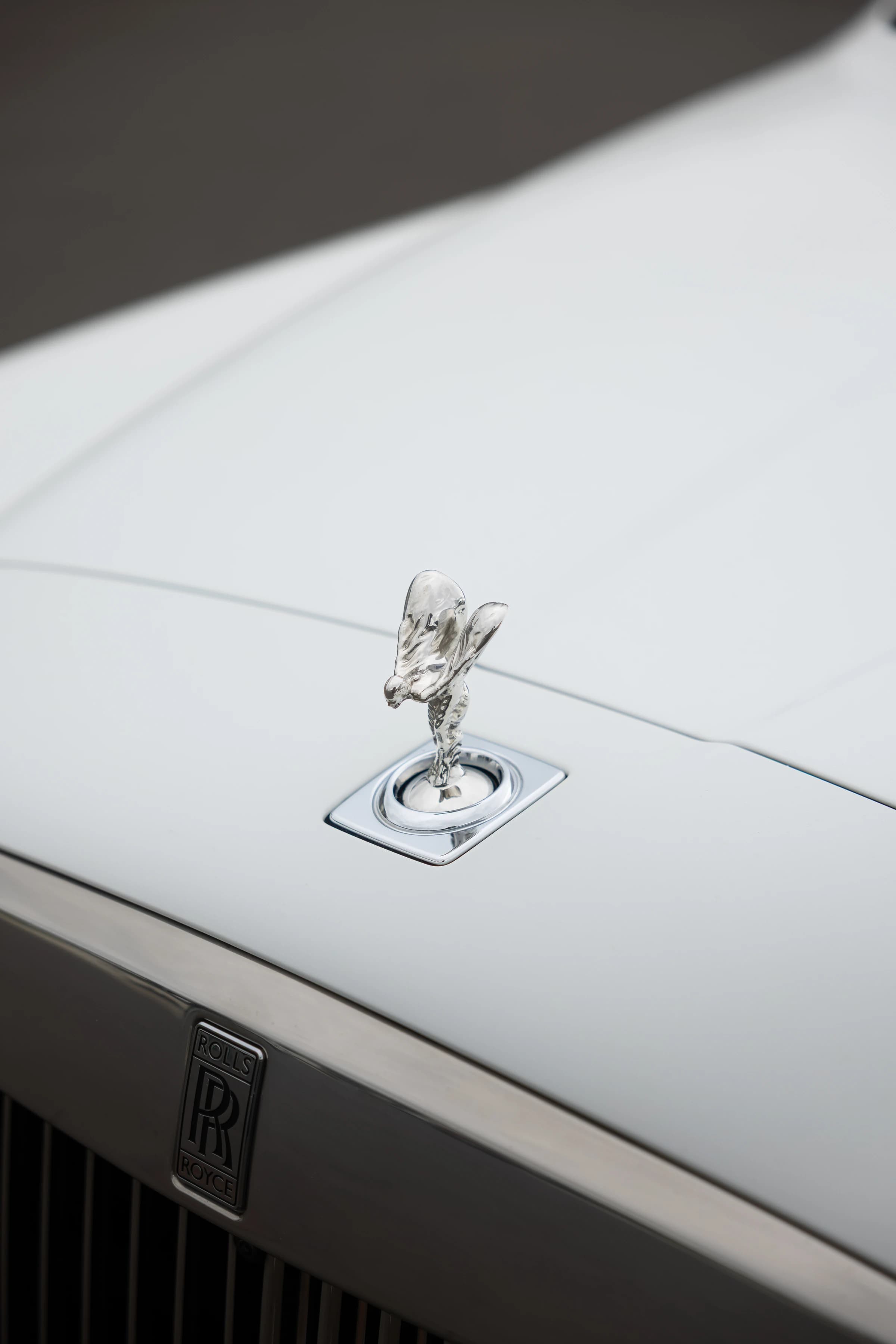 5-Year Flagship Protection